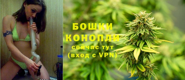 СК Арсеньев