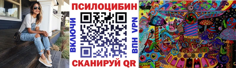 Псилоцибиновые грибы прущие грибы  Пошехонье 